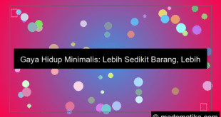 gaya hidup minimalis