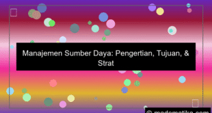 visual manajemen sumber daya