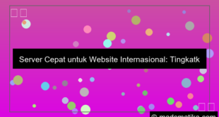visual server cepat untuk website internasional