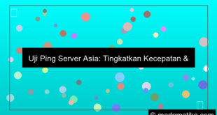 gambar uji ping server asia